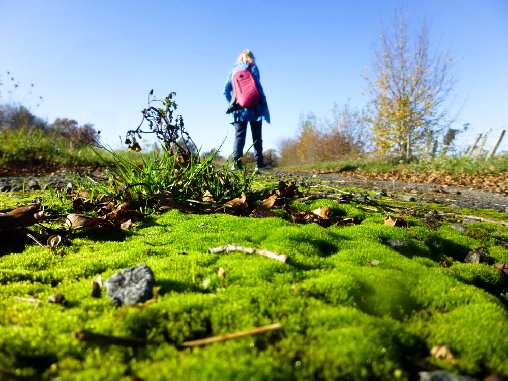 Un petit tour de Vayres