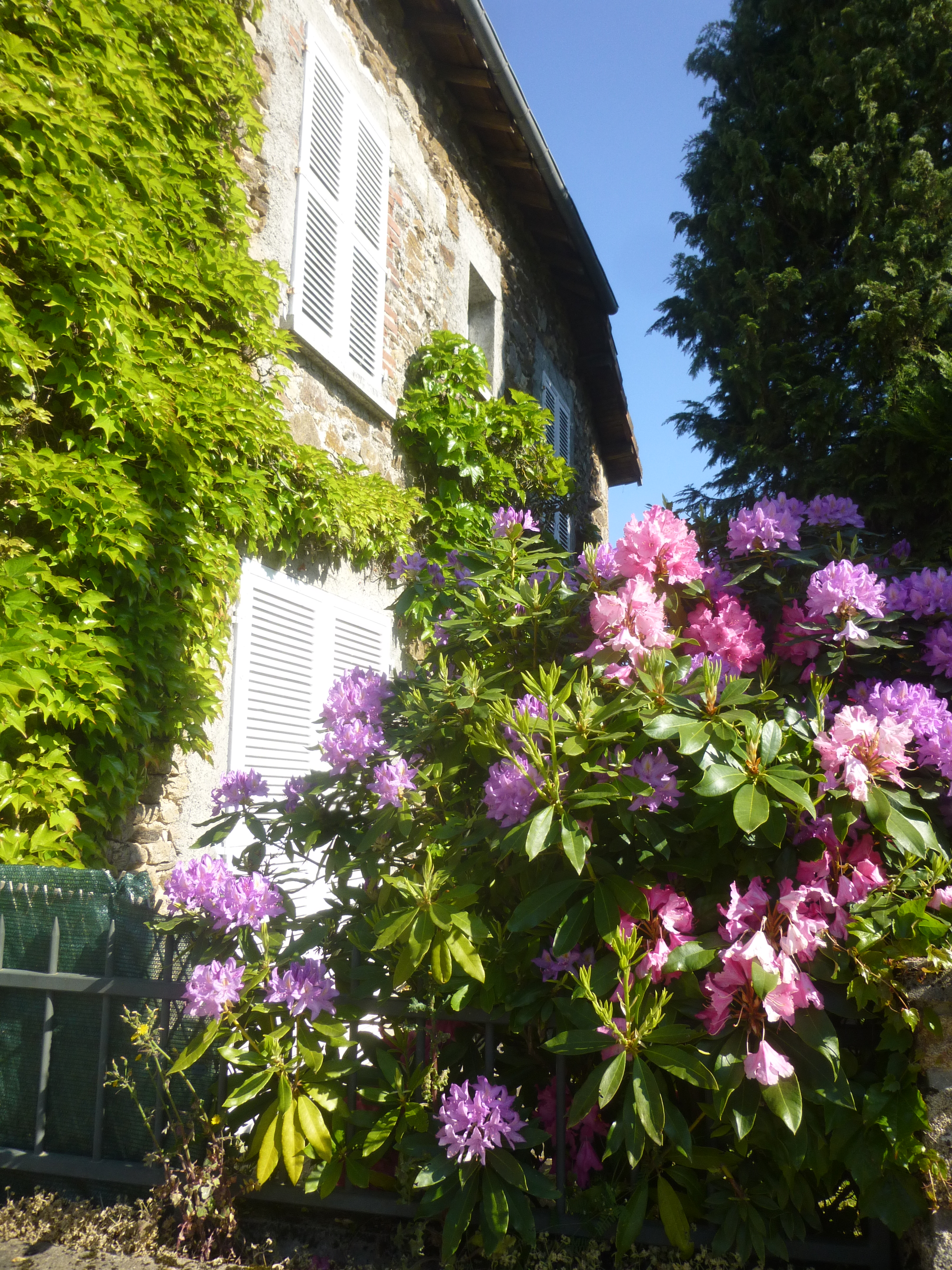Ecologie sociale en milieu rural ?