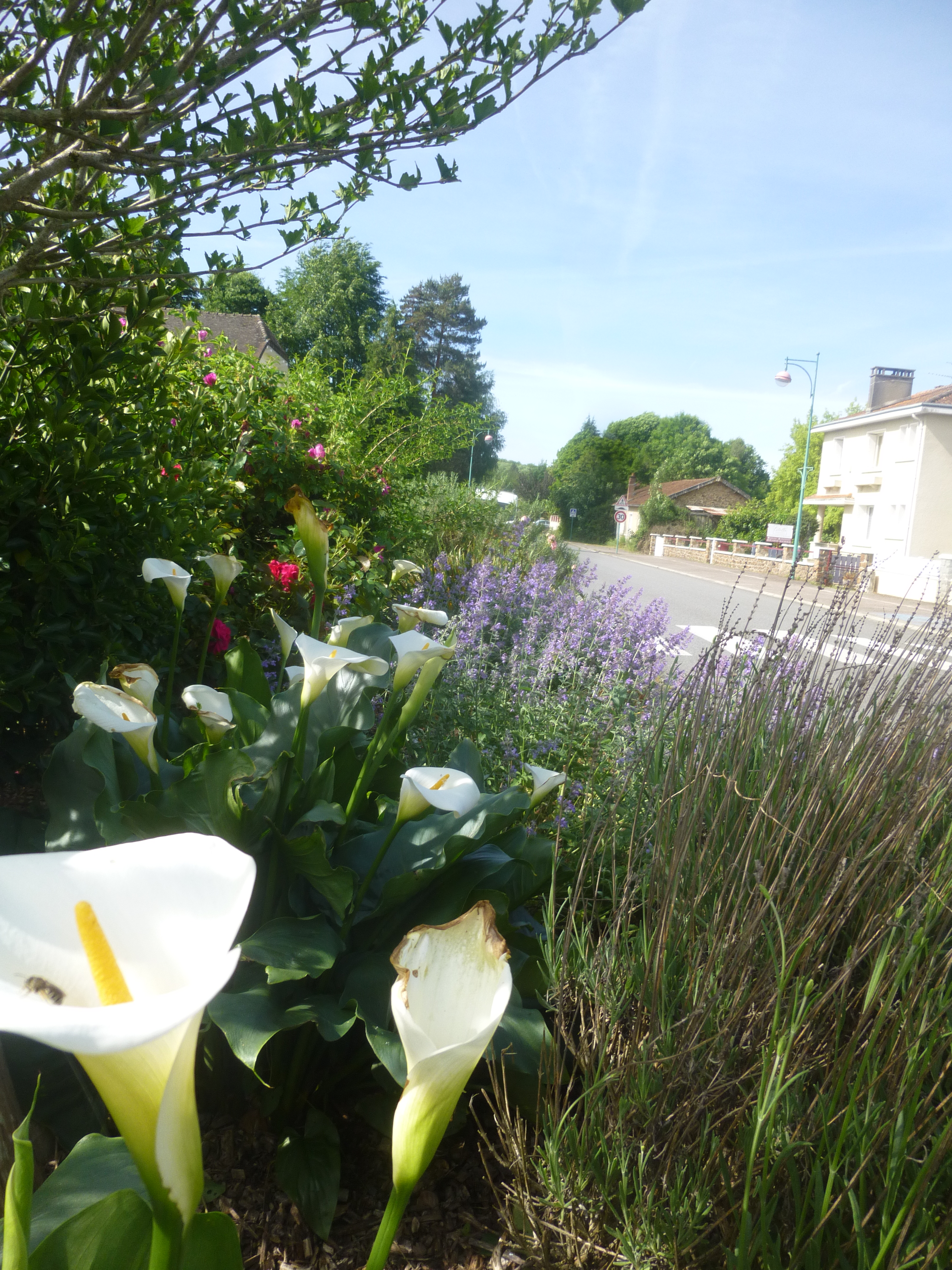 Agir pour l&rsquo;entretien des espaces publics