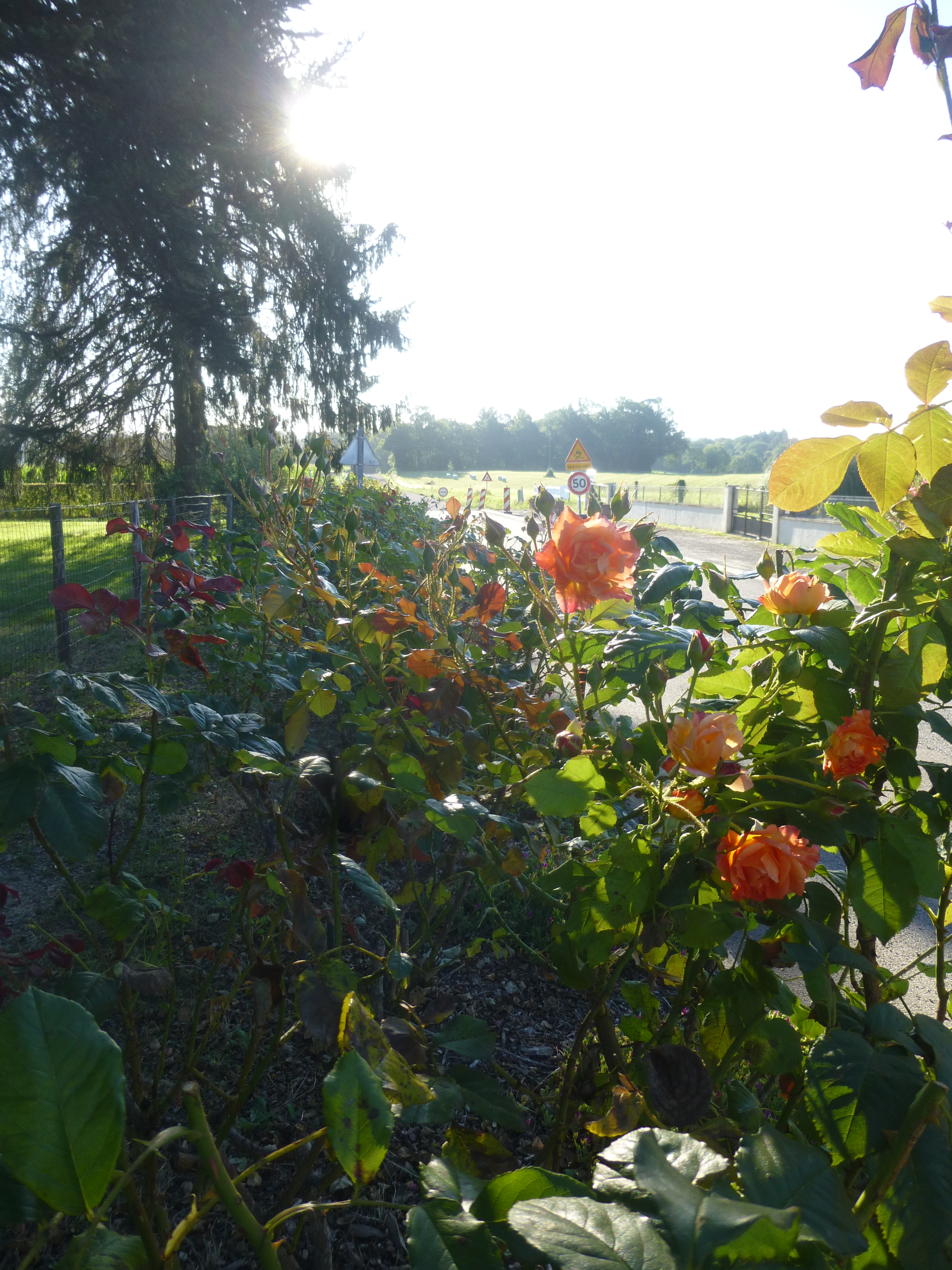 Chantiers participatifs