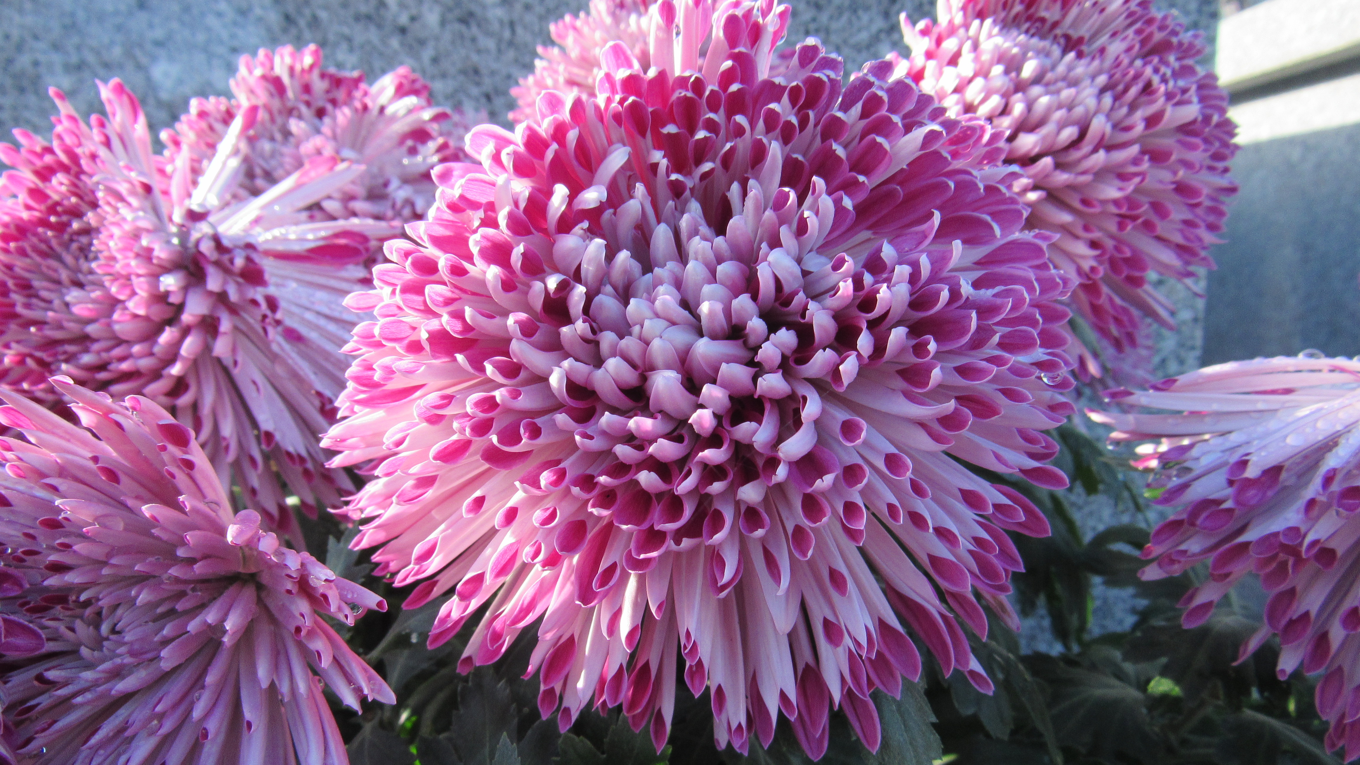 Du nouveau à Vayres!