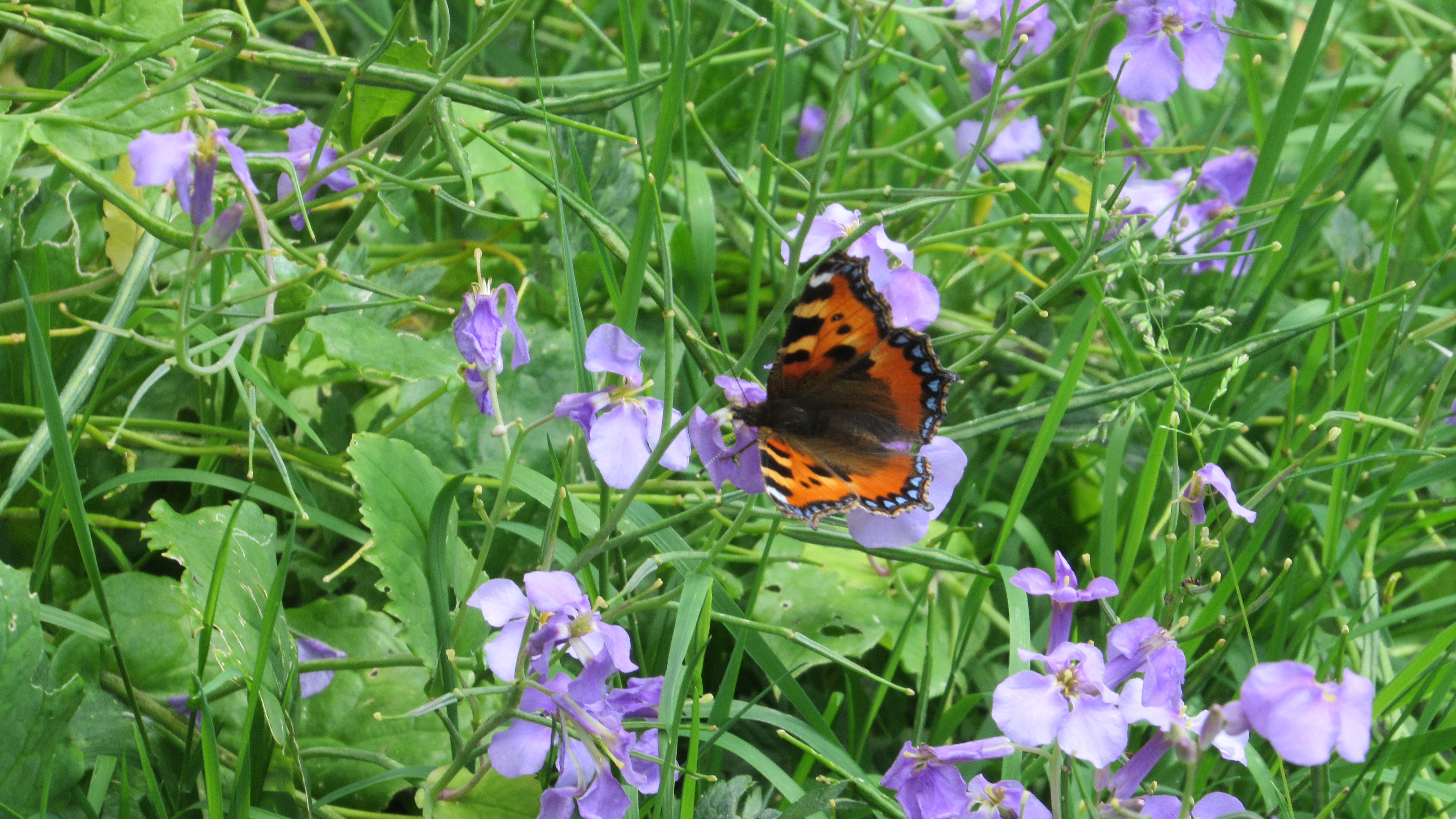Programme de sensibilisation à Vayres