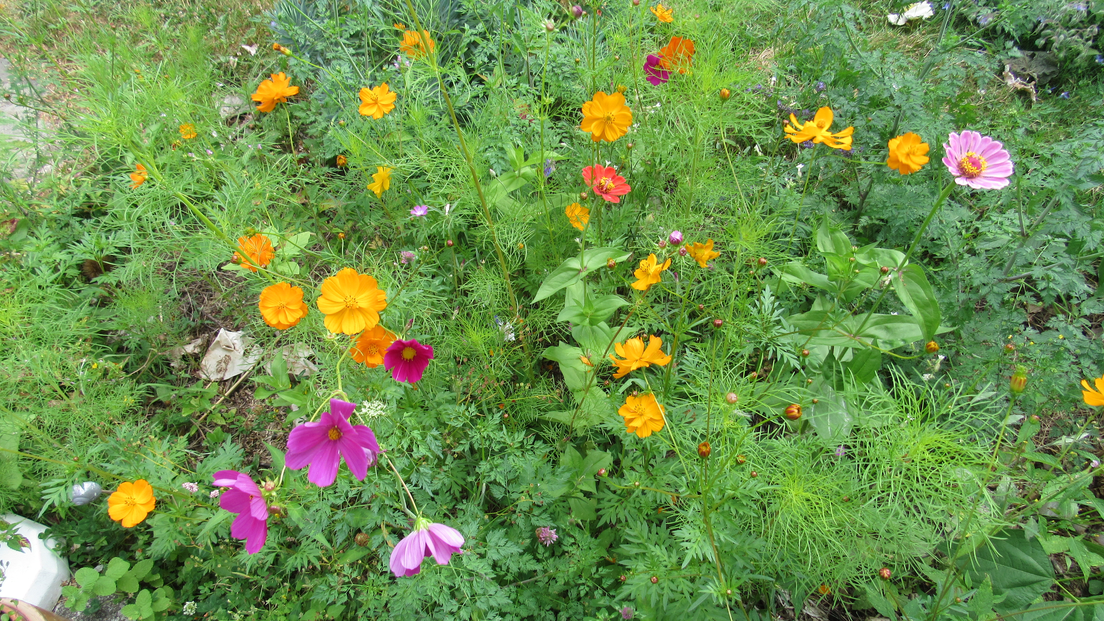 Pour une écologie sans sectarisme!