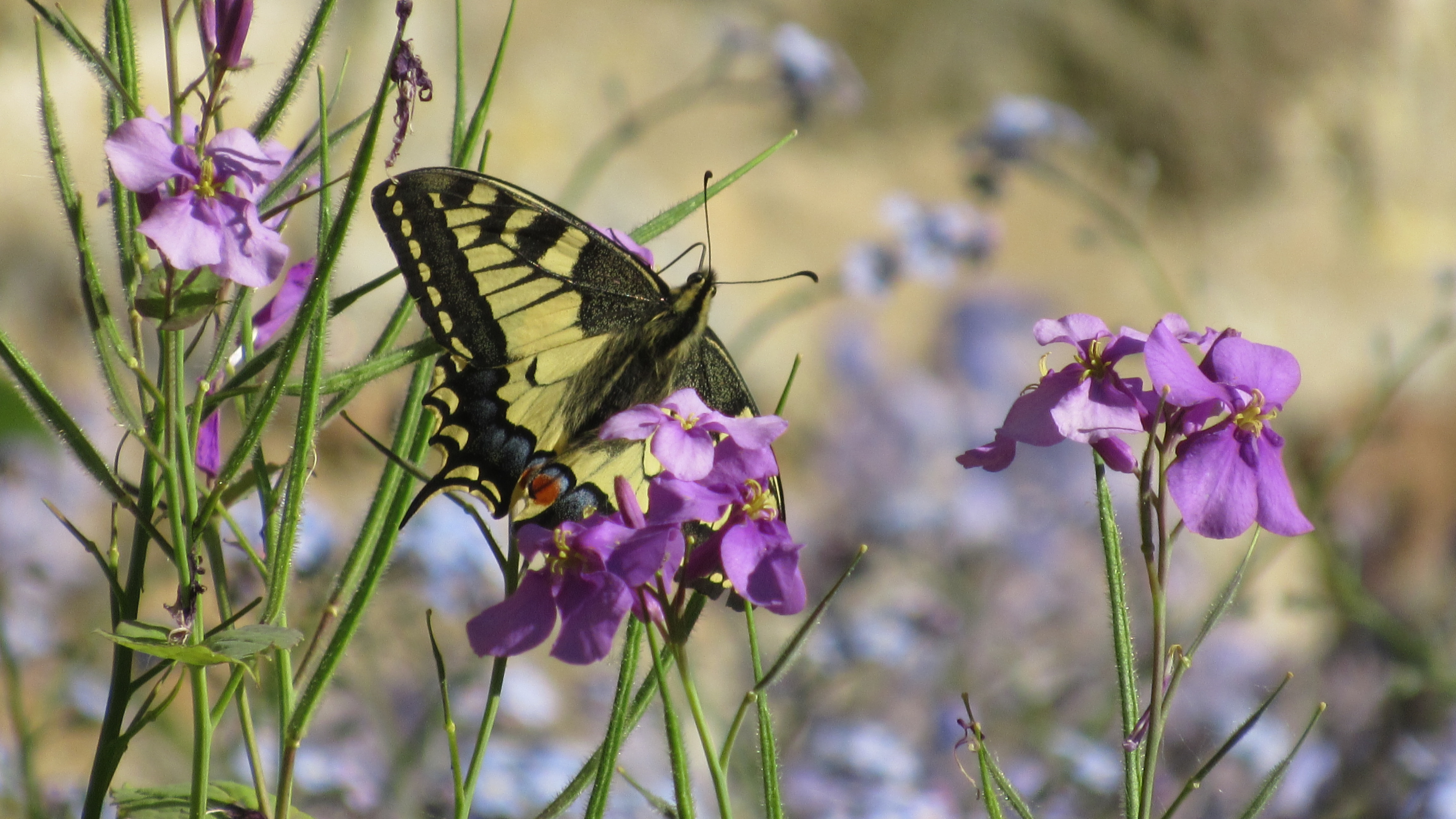 Préparer un évènement au village de Vayres J-1 mois