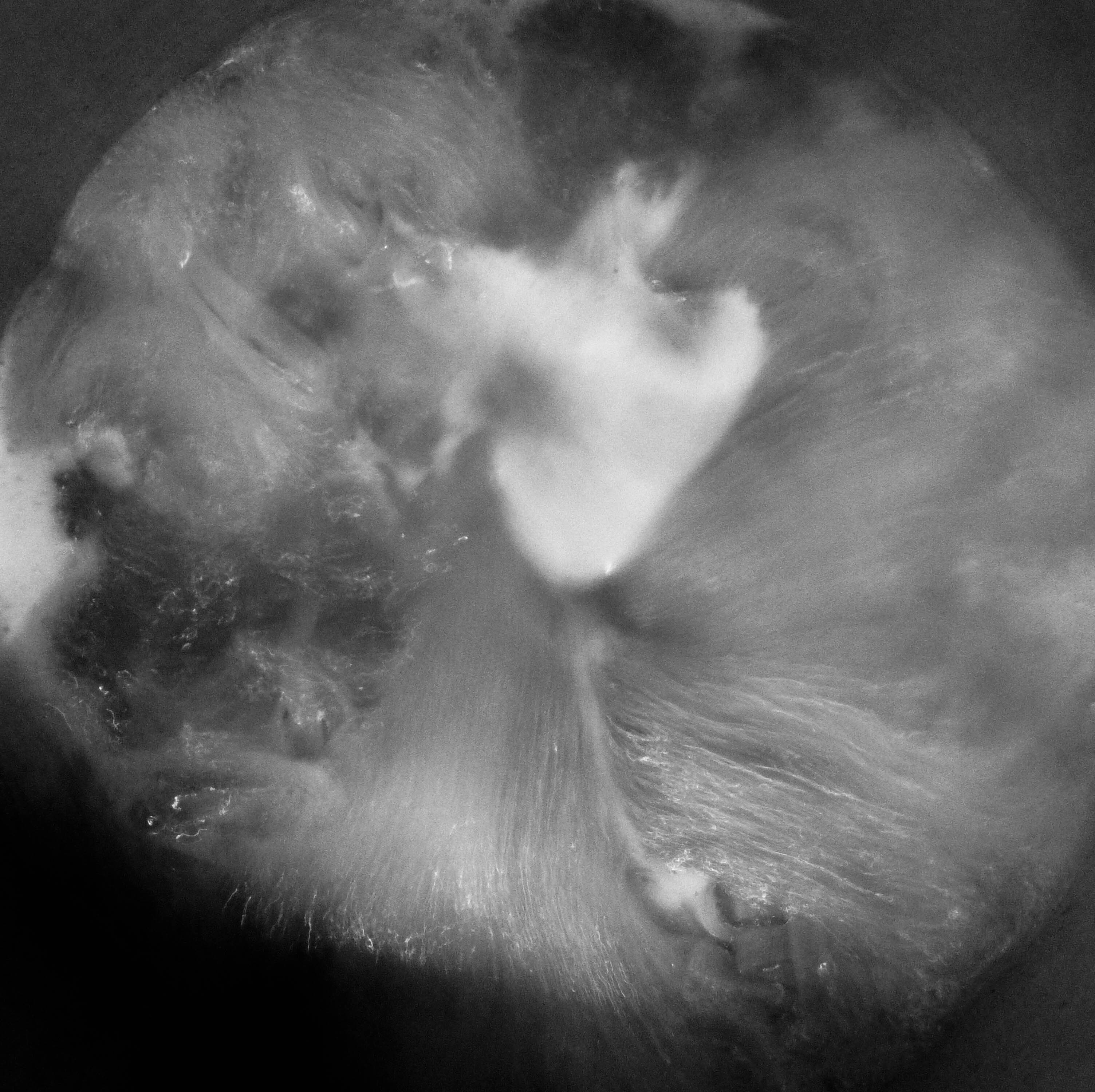 Journées Européennes du Patrimoine et du Matrimoine à Vayres, le programme