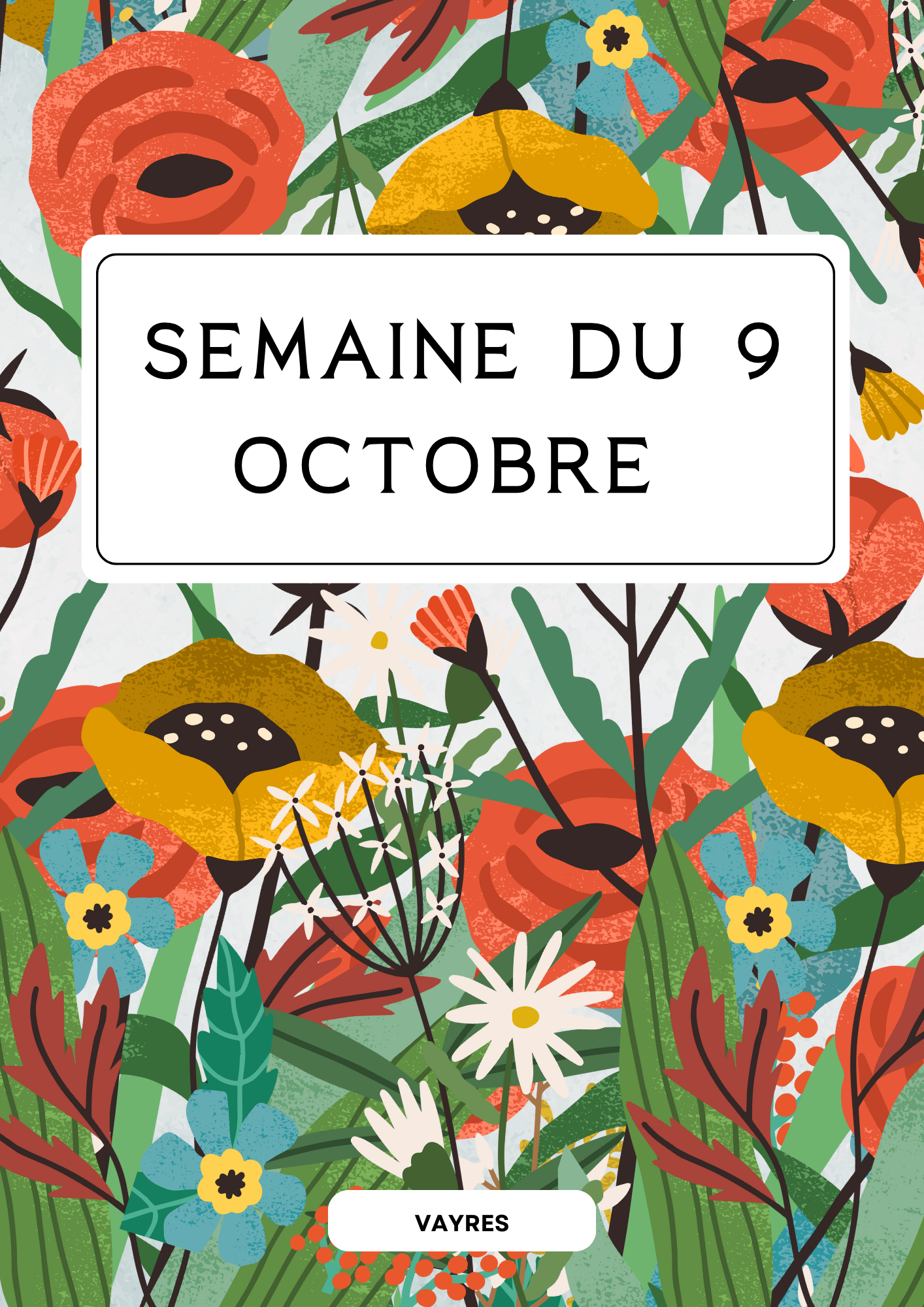 Vayres, quelles présences sur les réseaux sociaux ?