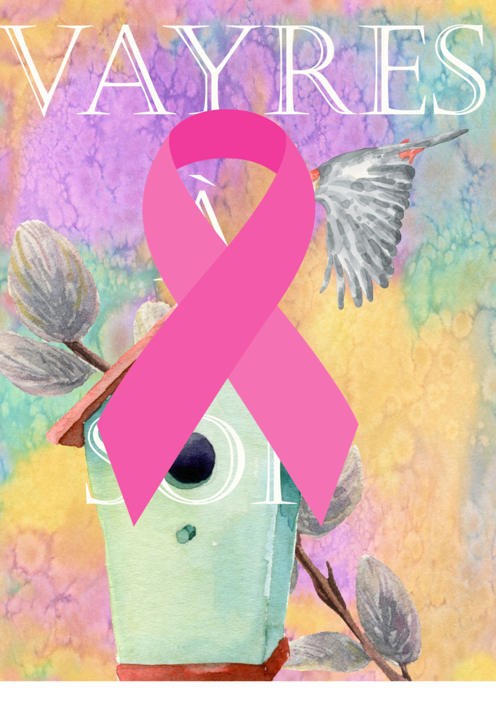 Retours sur Vayres et Rose