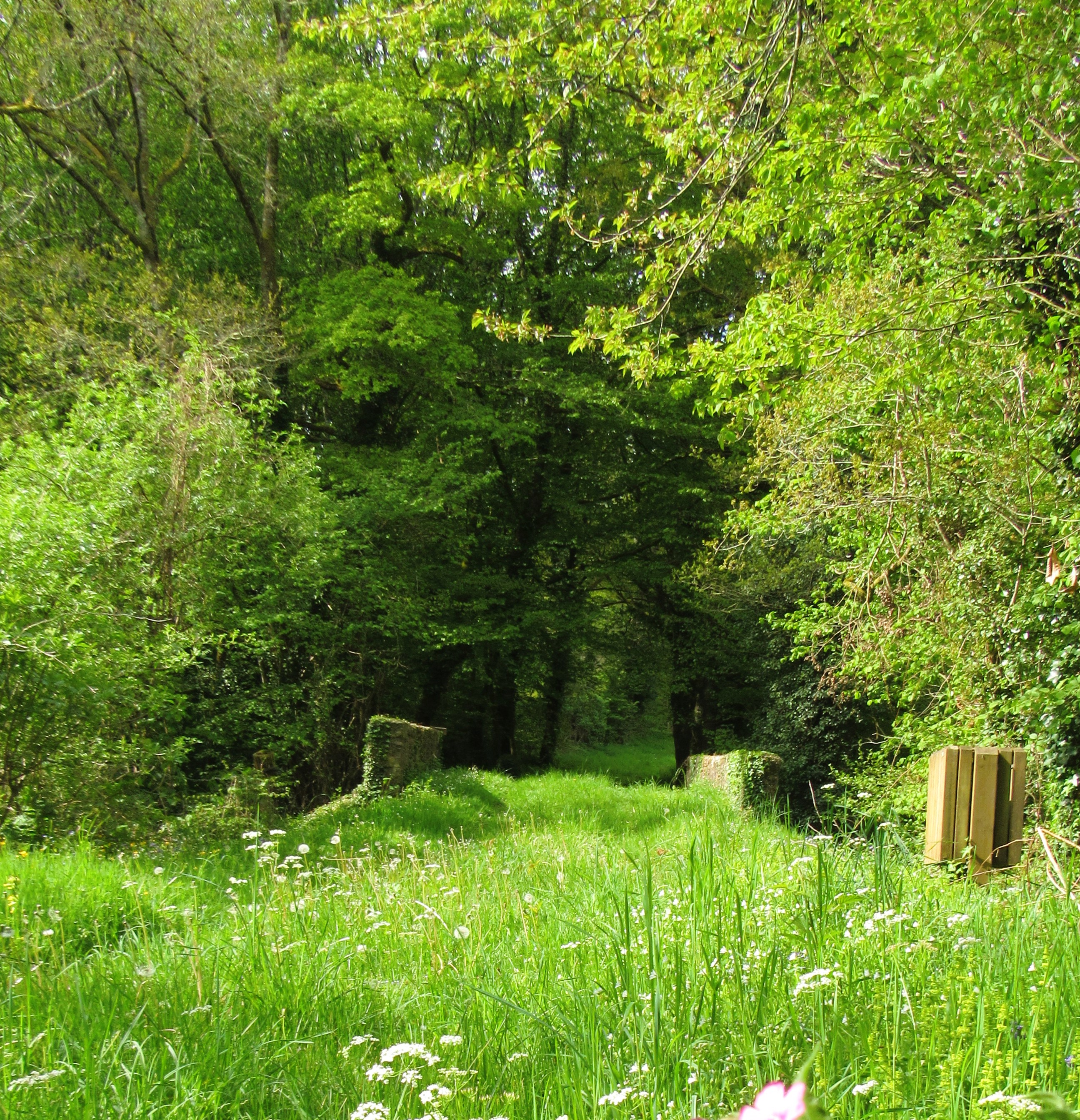 Vayres à Soi fête la Nature