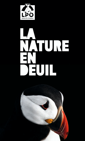 La nature est en deuil